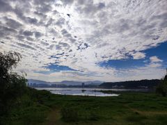 -洱海月湿地公园