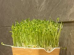 -海底捞火锅(龙岗星河COCO Park店)