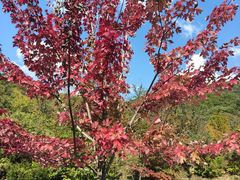 -丹东天桥沟景区