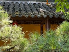 -龙华寺