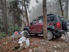 -铁山坪森林公园