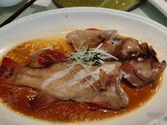 东星斑-启东海鲜人家(古美路店)