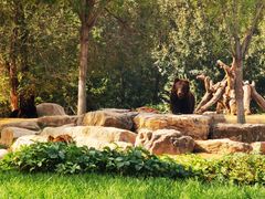 -北京野生动物园