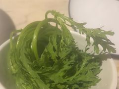 -同仁四季椰子鸡(福田东园总店)