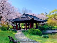-杭州植物园