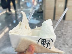 -野人先生现做冰淇淋(西安赛格店)