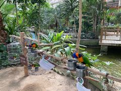 -南宫五洲植物乐园