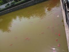 -石家庄市植物园