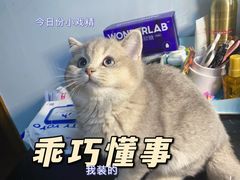 -总动员动物医院(宝丰院店)