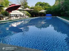 -汪说喵讲宠物乐园宠物酒店(红星美凯龙店)