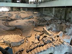 -自贡恐龙博物馆