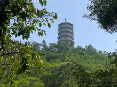 -深圳国际园林花卉博览园