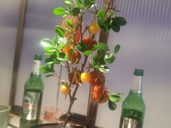 -新辣道鱼火锅(西直门店)