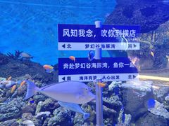 -横店影视城梦幻谷园区