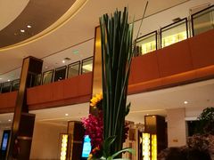 -温州龙湾国际机场温德姆酒店