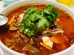 -蝶园·装修中(BFC外滩金融中心店)