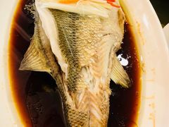 -红高粱大酒店(宁山东路店)