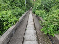 -东澳岛
