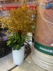 -重庆军科整形美容医院