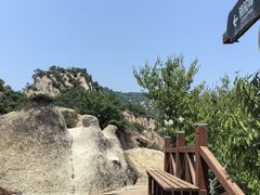 -大岭沟猕猴桃谷风景区