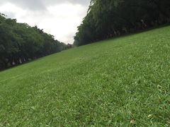 -中山大学学者灵芝(园南路店)