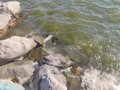 -海河外滩公园