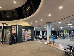 -纽瓦克自由国际机场