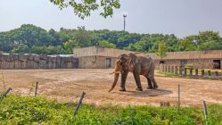 -Zoolung Zoolung动物主题公园(海信广场店)