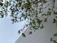 -大芬美术馆