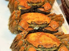 -新天禧大酒店·四十年浙菜·禧宴(西湖店)
