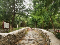 -阳台山自然风景区