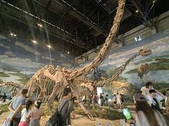 -自贡恐龙博物馆