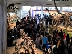 -自贡恐龙博物馆