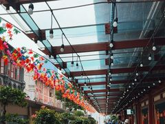 -新加坡佛牙寺龙华院