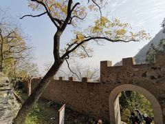 -北京鹫峰国家森林公园