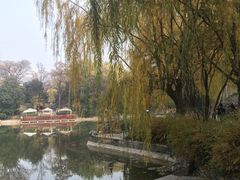 -西安市长乐公园