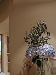 -阿南达·瑜伽普拉提·阿育吠陀疗愈中心