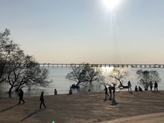 -宝安西湾红树林湿地公园