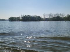 -溱湖国家湿地公园