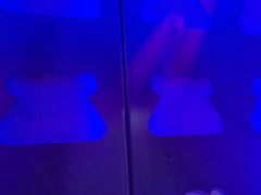 -蛙来哒(湖州东吴银泰百货店)