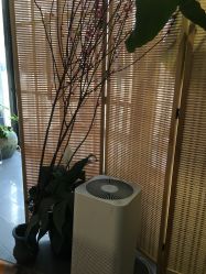 -Tipo Hair salon（明星）店