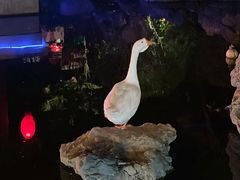 -祝家花園(伯渎港店)