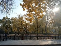 -玲珑塔公园