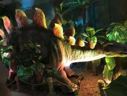 -恐龙探索乐园(磁器口店)