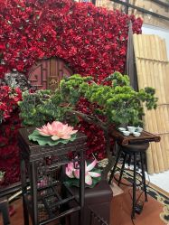 -后宫·古装汉服京剧儿童亲子全家福摄影