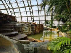 -盛泰恐龙谷温泉