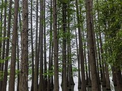 -东湖落雁景区