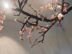 -蜜桃餐厅·伴山(绿宝广场店)