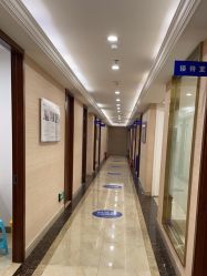 -碧莲盛·不剃发植发