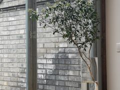 -VOYAGE COFFEE(杨梅竹店)